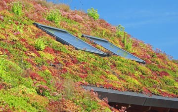 Easter Kinsleith living roof systems