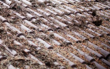 Easter Kinsleith roof cleaning companies