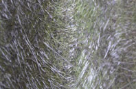 Easter Kinsleith fibreglass roof work